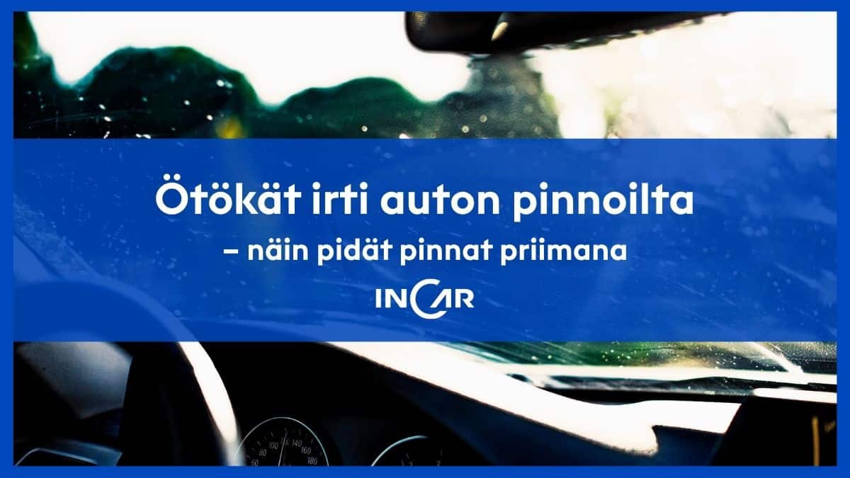 Hyönteisten jäljet autossa? Toimi näin ennen kuin vahinko syntyy